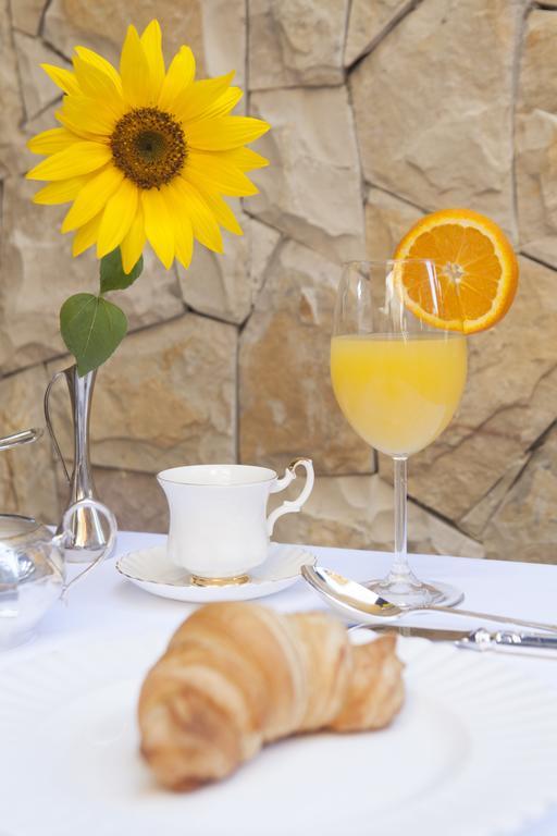 Garden Spa Boutique Hotel スコピエ エクステリア 写真